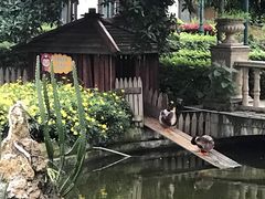 -西苑半岛·中餐厅