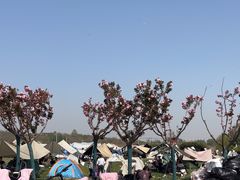 -君乐宝优致牧场
