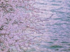 -颐和园