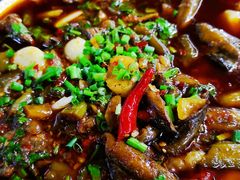 -老杨砂锅鱼庄