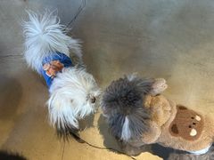 -百好乐宠物友好餐厅(朝外大街店)