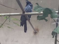 -昆明动物园