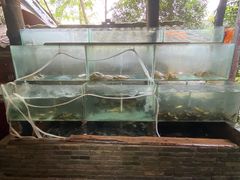 水产区-青城甲(青城山店)