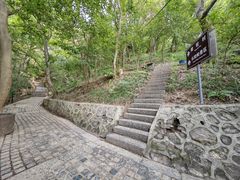 -紫金山山顶公园