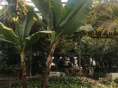 -陆地游轮吉林神农温泉