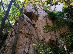 -大岭沟猕猴桃谷风景区