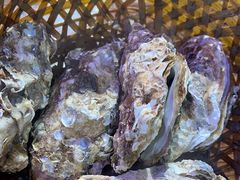 -蚝堡海鲜·威海菜·海肠捞饭·烧烤·亚洲吃蚝公司(幸福门店)
