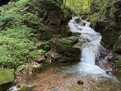 -何记羊汤馆(丽水佳源店)