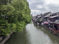 -西塘人家•黑金冠本地好店