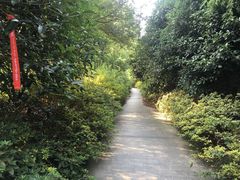 -宝界山林公园