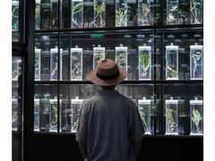 -广东中医药博物馆