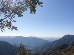 -大岭沟猕猴桃谷风景区