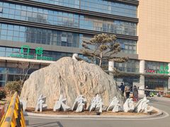 -山东大学齐鲁医院(青岛院区)