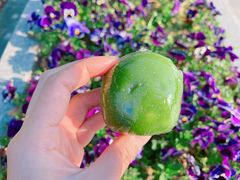 -华东政法大学第二食堂(松江校区)