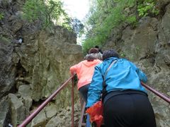 iphone_upload_pic-沕沕水生态风景区