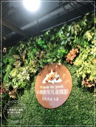 点击看大图 -小熊维尼高端儿童摄影(南山信和店)
