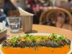 -O'eat Blossom&Pelican(深圳首店)