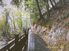 -江西阳明山国家森林公园