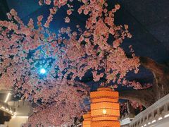 -荷塘秋月·本帮江浙菜(国权路店)