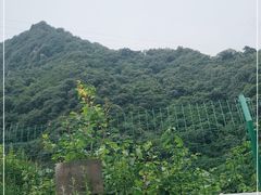 -沣峪口