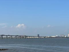 -大湾区中央湿地公园
