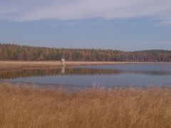 -塞罕坝国家级自然保护区