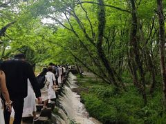 -黄山北站