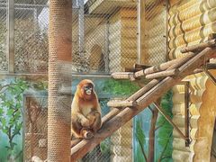 -西安秦岭野生动物园
