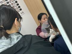 -中国农业大学动物医院