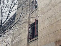 -武汉大学-樱园