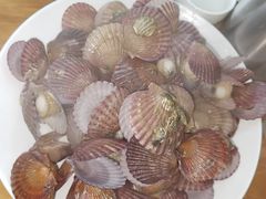 -渔家小院观海海肠捞饭地方菜(环海中路店)