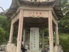 -平湖九龙山旅游度假区