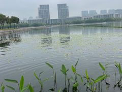 -尚贤河湿地