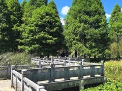 -贵阳市花溪国家城市湿地公园