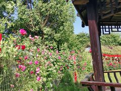 -武汉紫薇都市田园