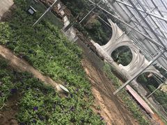 -龙达温泉生态城