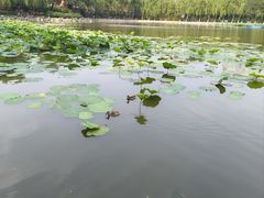 -中国农业博物馆