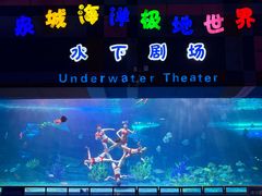 -泉城欧乐堡海洋极地世界