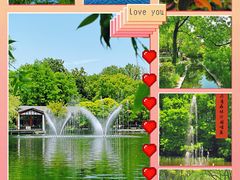 -上海共青森林公园