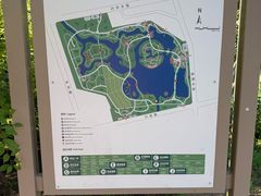 -大兴滨河森林公园