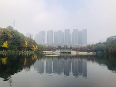 -重庆彩云湖湿地公园