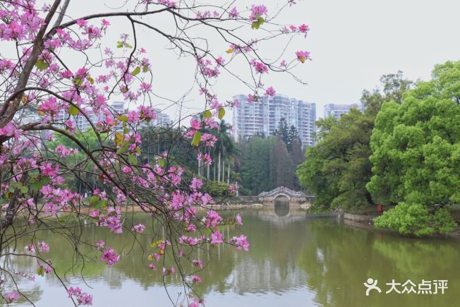 中國科學院華南植物園 - zengguiqian的相冊 - 廣州周邊遊 - 大眾點評