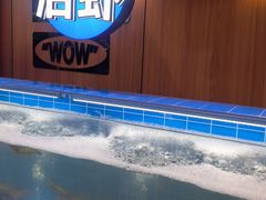 -0048鲜活香辣虾·火锅(铜陵路店)