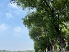 -长春市南湖公园