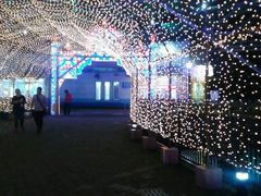 -蠡湖大桥公园