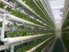 -兰陵国家农业公园