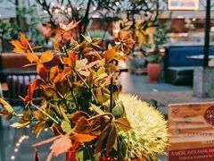 -查特花园美食广场(西单大悦城店)