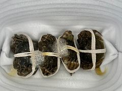 -阳澄湖大闸蟹·琼灵阁牌品牌连锁(吴中总店)