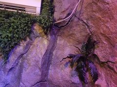 -醉小酒馆·川菜·江湖菜·重庆菜(观音桥旗舰店)