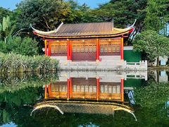 -顺峰山公园